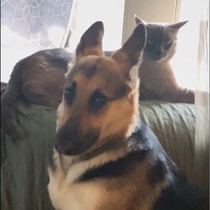 Meet your Posher, Mary